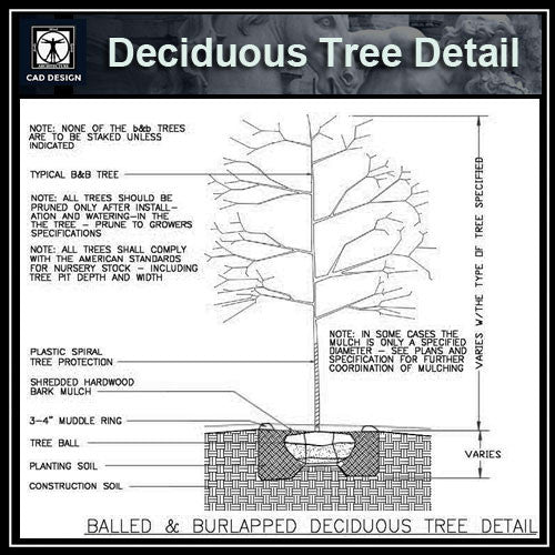 American Standard Autocad Drawings